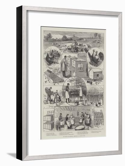 The Great Egg Question, Sketches at a Poultry Farm-null-Framed Giclee Print