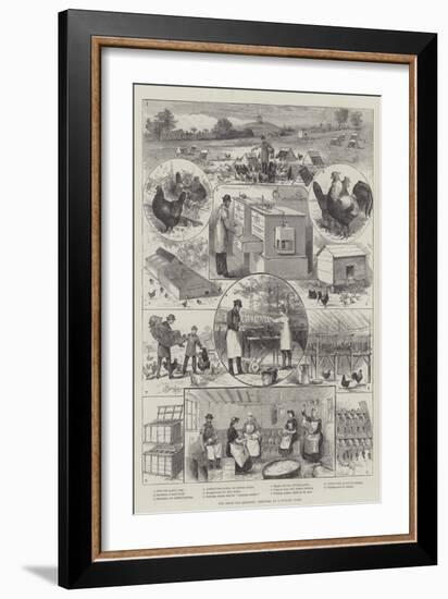 The Great Egg Question, Sketches at a Poultry Farm-null-Framed Giclee Print