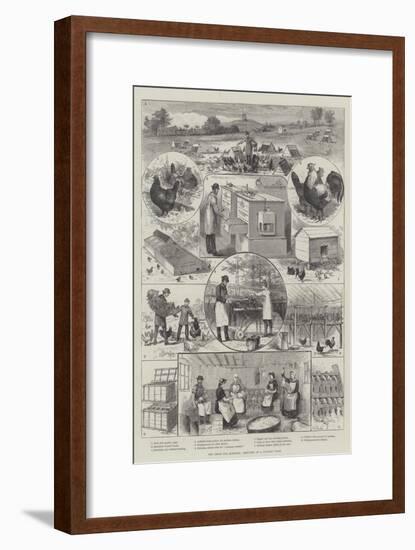 The Great Egg Question, Sketches at a Poultry Farm-null-Framed Giclee Print