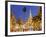 The Great Golden Stupa, Shwedagon Paya (Shwe Dagon Pagoda), Yangon (Rangoon), Myanmar (Burma)-Peter Adams-Framed Photographic Print