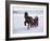 The Great Ice Fair, Lillehammer, Norway, Scandinavia-Adam Woolfitt-Framed Photographic Print