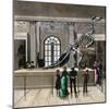 The Great Iguanodon Skeleton at the Brussels Museum, 1880s-null-Mounted Giclee Print