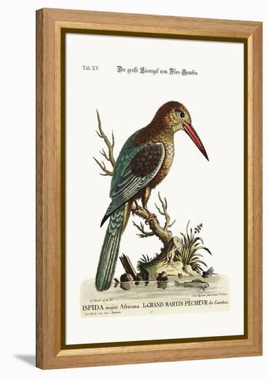 The Great Kingfisher from the River Gambia, 1749-73-George Edwards-Framed Premier Image Canvas