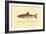 The Great Lake Trout-H.h. Leonard-Framed Art Print