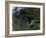 The Great Lakes-Stocktrek Images-Framed Photographic Print