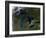 The Great Lakes-Stocktrek Images-Framed Photographic Print