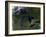 The Great Lakes-Stocktrek Images-Framed Photographic Print