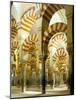 The Great Mosque, Unesco World Heritage Site, Cordoba, Andalucia (Andalusia), Spain-Adam Woolfitt-Mounted Photographic Print