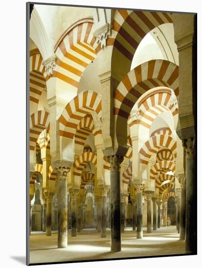 The Great Mosque, Unesco World Heritage Site, Cordoba, Andalucia (Andalusia), Spain-Adam Woolfitt-Mounted Photographic Print