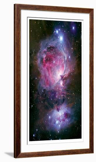 The Great Nebula in Orion-Robert Gendler-Framed Giclee Print