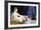 The Great Odalisque, 1780-1867-Jean Baptiste Debret-Framed Giclee Print