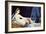 The Great Odalisque, 1780-1867-Jean Baptiste Debret-Framed Giclee Print