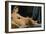 The Great Odalisque, 1814-Jean-Auguste-Dominique Ingres-Framed Giclee Print