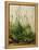 The Great Piece of Turf, 1503-Albrecht Drer-Framed Premier Image Canvas