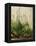 The Great Piece of Turf, 1503-Albrecht Drer-Framed Premier Image Canvas