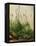 The Great Piece of Turf, 1503-Albrecht Drer-Framed Premier Image Canvas