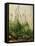 The Great Piece of Turf, 1503-Albrecht Drer-Framed Premier Image Canvas