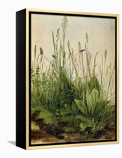 The Great Piece of Turf, 1503-Albrecht Drer-Framed Premier Image Canvas