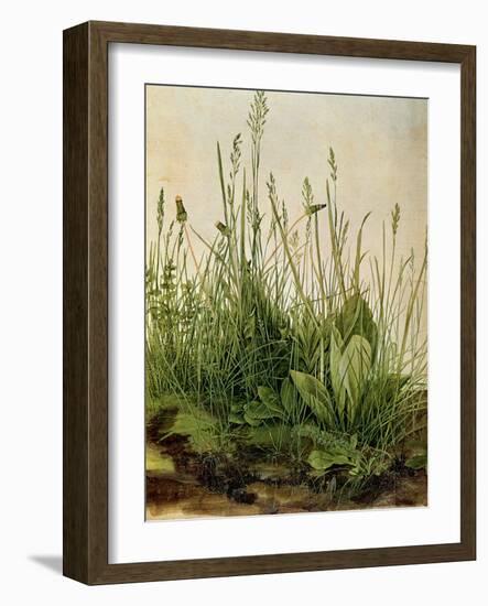 The Great Piece of Turf, 1503-Albrecht Drer-Framed Premium Giclee Print