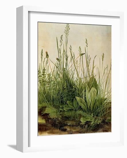 The Great Piece of Turf, 1503-Albrecht Drer-Framed Premium Giclee Print