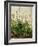 The Great Piece of Turf, 1503-Albrecht Drer-Framed Premium Giclee Print