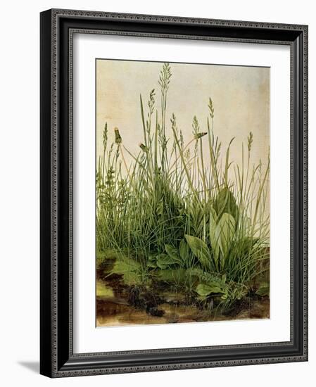 The Great Piece of Turf, 1503-Albrecht Drer-Framed Premium Giclee Print