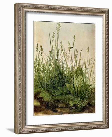 The Great Piece of Turf, 1503-Albrecht Drer-Framed Giclee Print