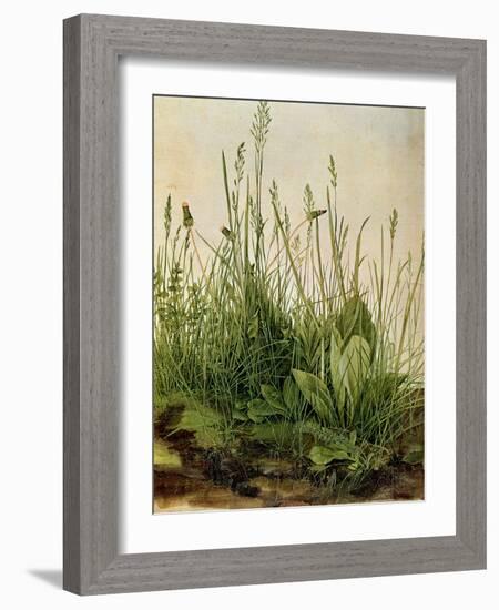 The Great Piece of Turf, 1503-Albrecht Drer-Framed Giclee Print