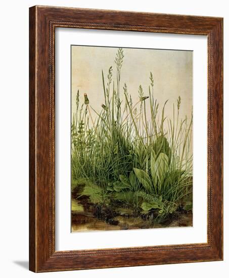 The Great Piece of Turf, 1503-Albrecht Drer-Framed Giclee Print