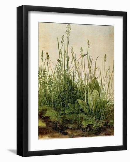 The Great Piece of Turf, 1503-Albrecht Drer-Framed Giclee Print