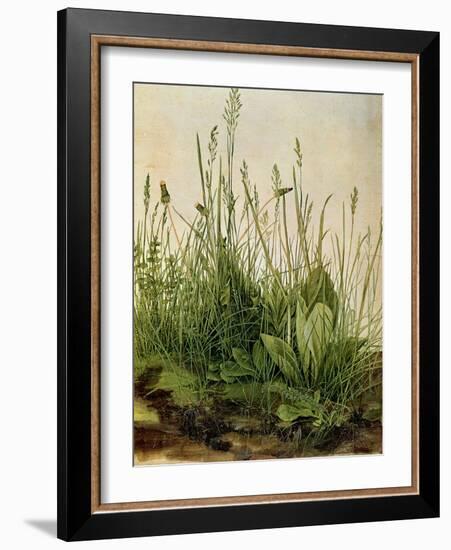 The Great Piece of Turf, 1503-Albrecht Drer-Framed Giclee Print