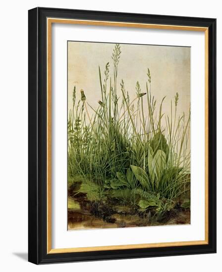 The Great Piece of Turf, 1503-Albrecht Drer-Framed Giclee Print