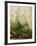 The Great Piece of Turf, 1503-Albrecht Drer-Framed Giclee Print