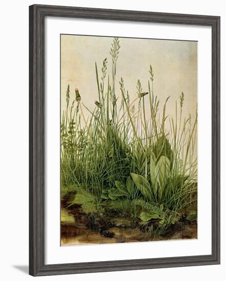 The Great Piece of Turf, 1503-Albrecht Drer-Framed Giclee Print