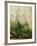 The Great Piece of Turf, 1503-Albrecht Drer-Framed Giclee Print