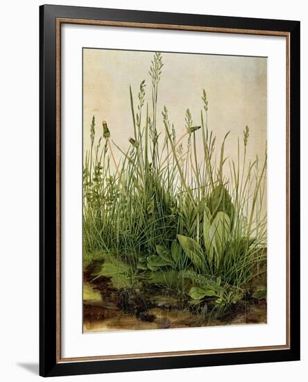 The Great Piece of Turf, 1503-Albrecht Drer-Framed Giclee Print