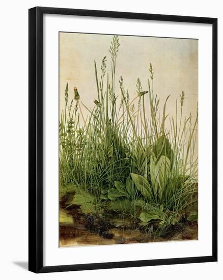 The Great Piece of Turf, 1503-Albrecht Drer-Framed Giclee Print