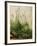 The Great Piece of Turf, 1503-Albrecht Drer-Framed Giclee Print