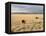 The Great Plains, New Mexico, USA-Occidor Ltd-Framed Premier Image Canvas