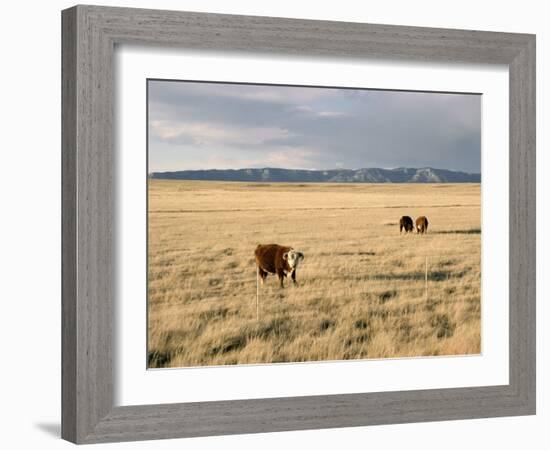 The Great Plains, New Mexico, USA-Occidor Ltd-Framed Photographic Print