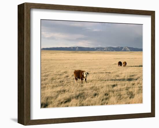 The Great Plains, New Mexico, USA-Occidor Ltd-Framed Photographic Print