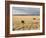 The Great Plains, New Mexico, USA-Occidor Ltd-Framed Photographic Print