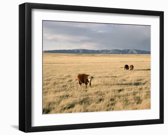 The Great Plains, New Mexico, USA-Occidor Ltd-Framed Photographic Print