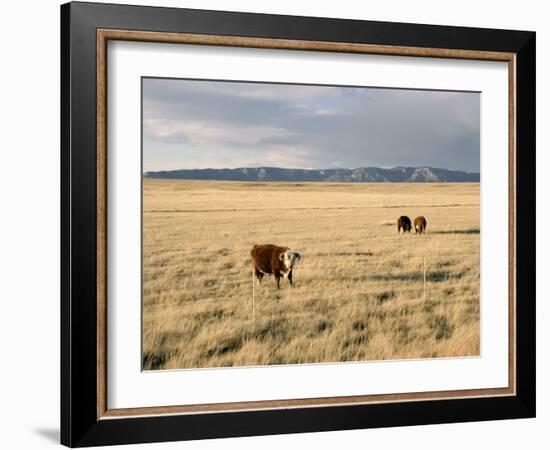 The Great Plains, New Mexico, USA-Occidor Ltd-Framed Photographic Print