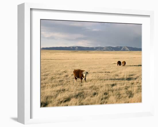 The Great Plains, New Mexico, USA-Occidor Ltd-Framed Photographic Print