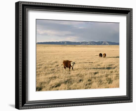 The Great Plains, New Mexico, USA-Occidor Ltd-Framed Photographic Print