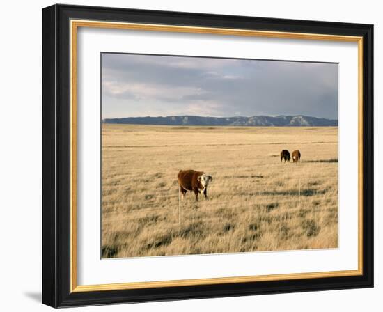 The Great Plains, New Mexico, USA-Occidor Ltd-Framed Photographic Print