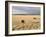 The Great Plains, New Mexico, USA-Occidor Ltd-Framed Photographic Print