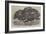 The Great Python Serpent Incubating at the Zoological Society's Gardens, Regent's Park-null-Framed Giclee Print