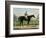 The Great Racer Kingston-Currier & Ives-Framed Giclee Print